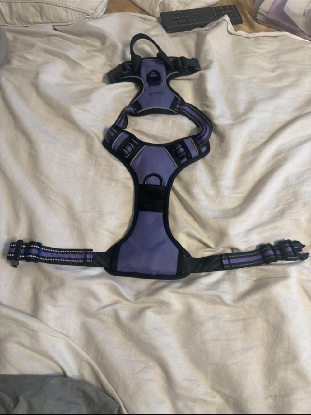 Dog harness